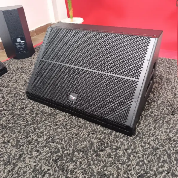 Thunder Sound TS115M