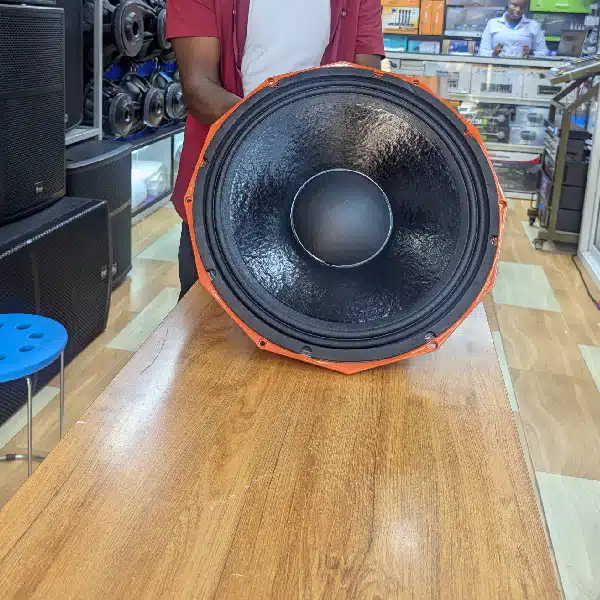 Derwell-PD1852-2 Derwell speaker driver