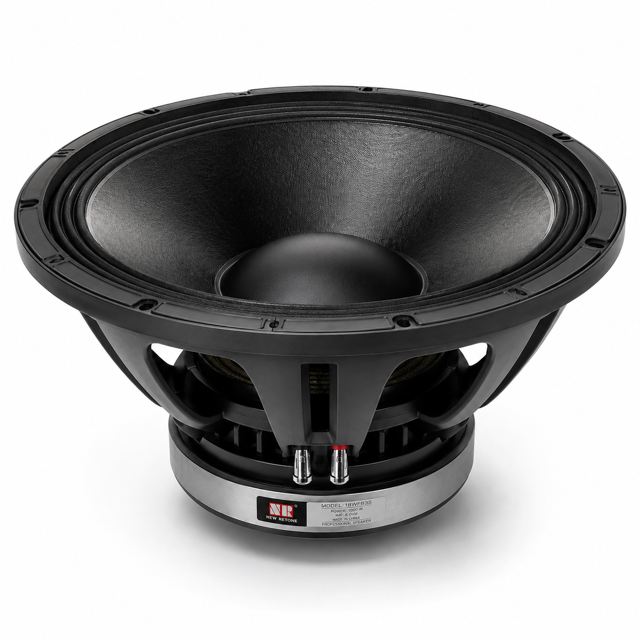18 inch naked speaker