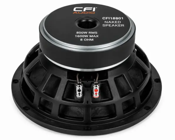 CFI18801 Naked Speaker For Speaker Cabinet