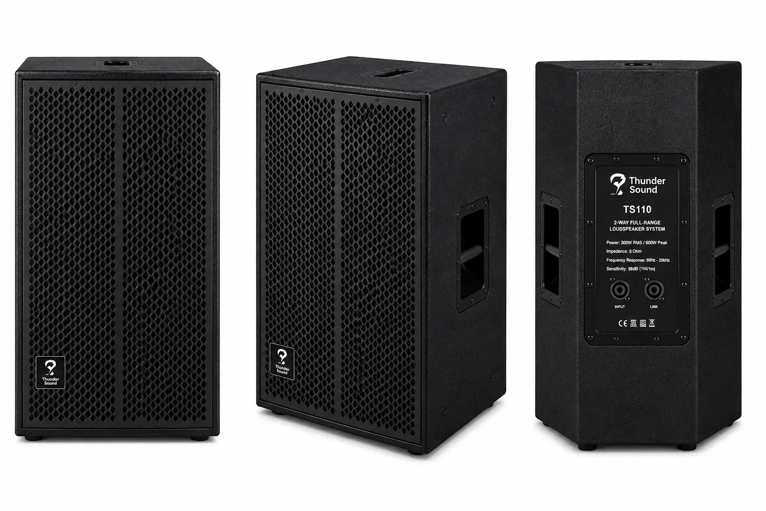 Thunder Sound TS110 full range speaker
