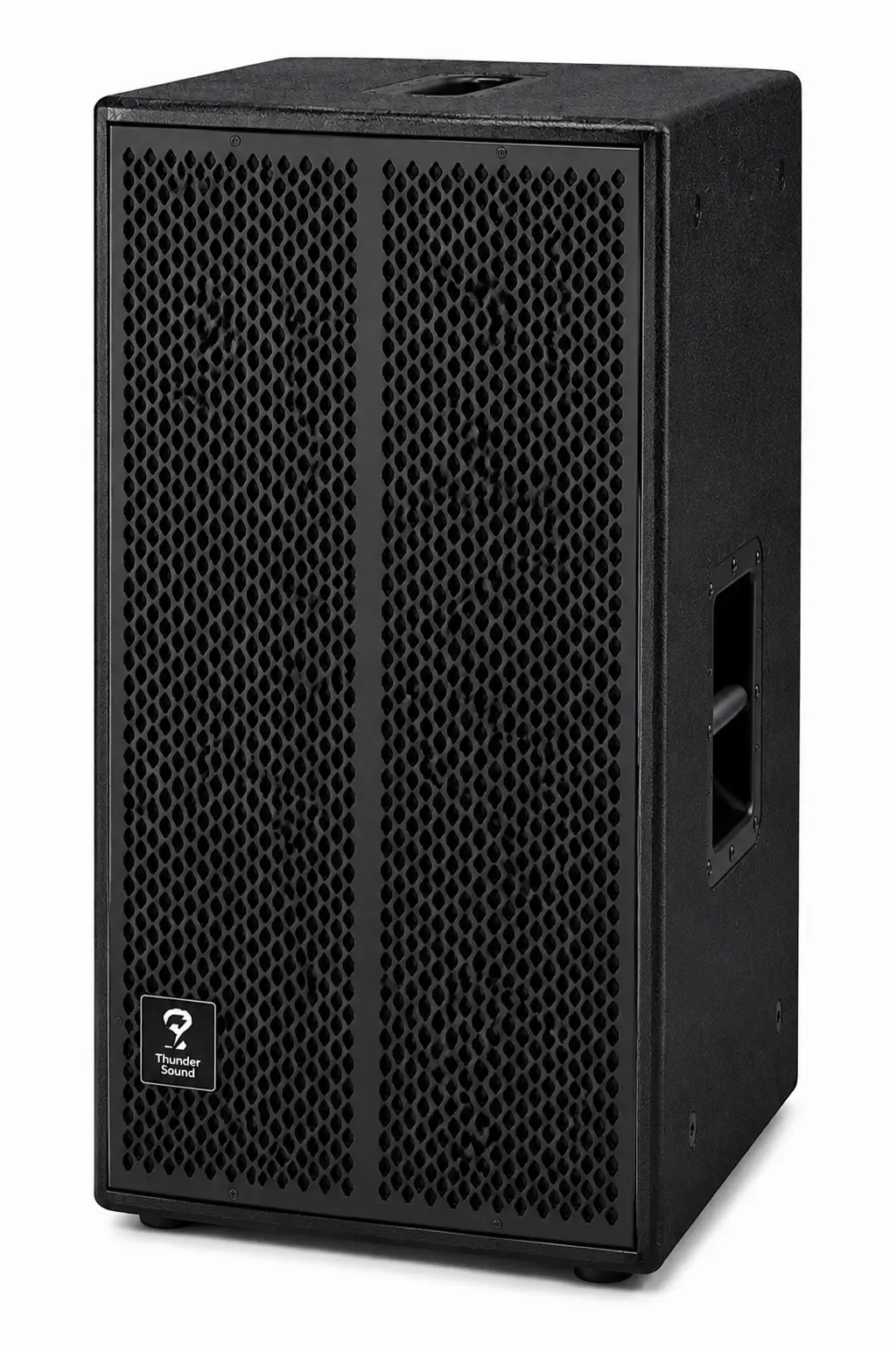 Thunder Sound TS110 professional speaker