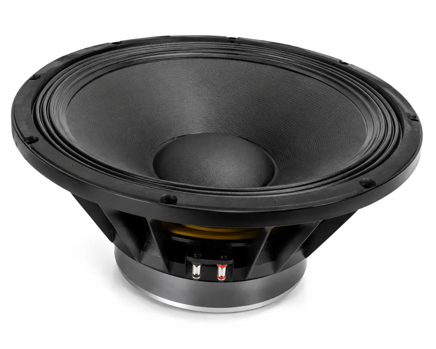PD 1890 Professional Speaker