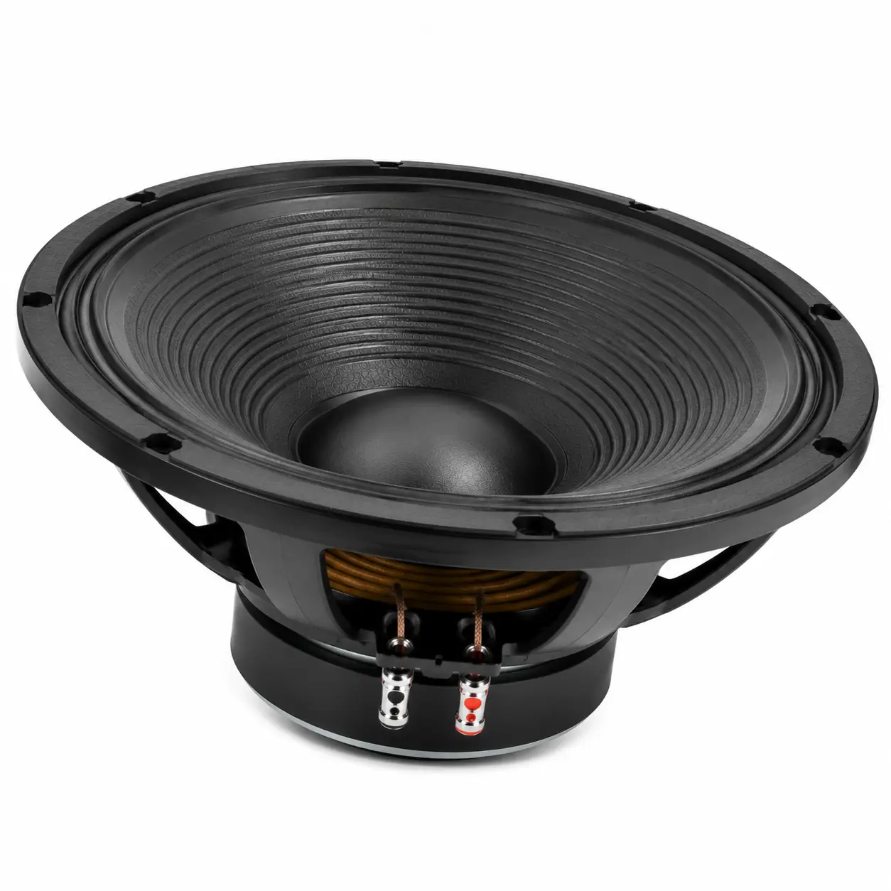 PD18 naked speaker