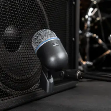 PD18 Naked Bass Speaker for Serious Bass Power and Speaker Cabinet Restoration