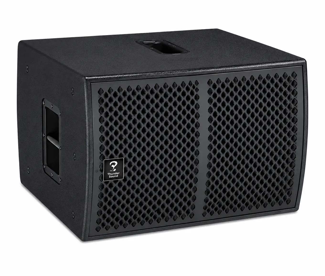 Thunder Sound TS110 loudspeaker