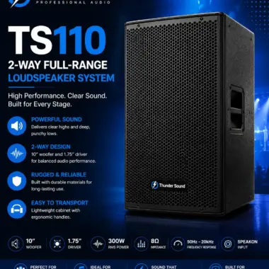 Thunder Sound TS118 Line Array – 18-Inch Professional Speaker for Stadiums, Churches and Events