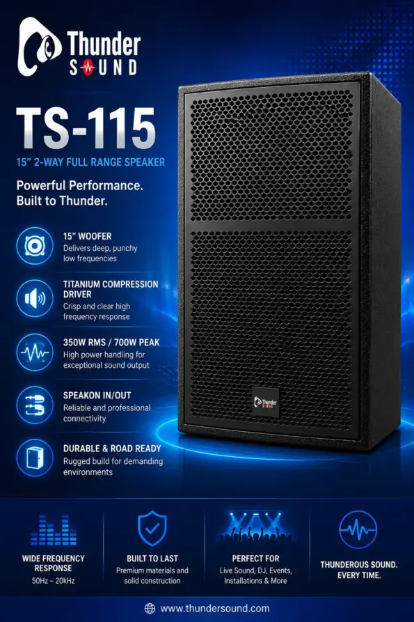 Thunder Sound TS115 Passive Speaker