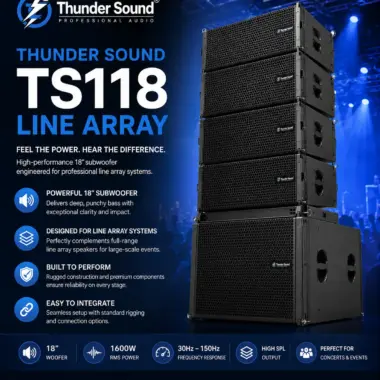 Thunder Sound TS110 2-Way Full-Range Loudspeaker System – Compact Speaker for Churches, Halls and Events