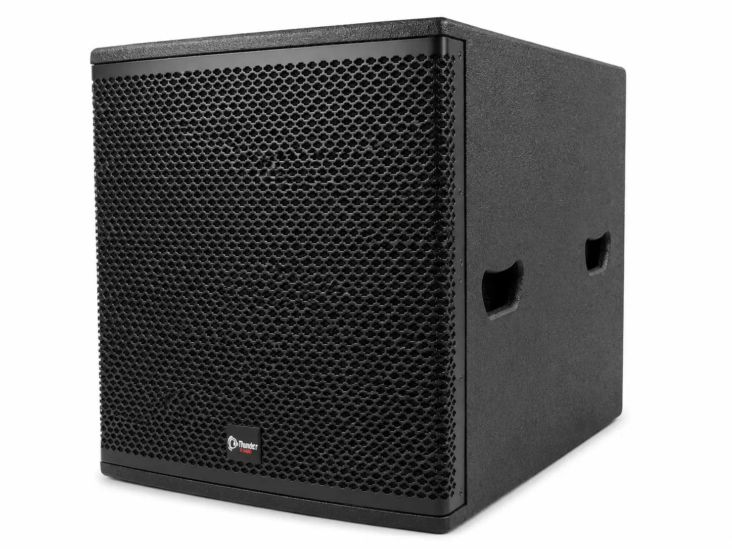 Thunder Sound TS118 Subwoofer – Deep Bass Speaker for DJs, Churches, Clubs and Events Thunder Sound TS118 bass speaker