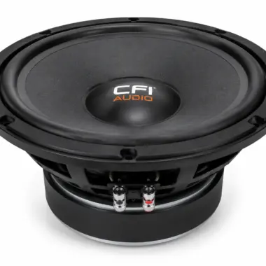 PD18 Naked Bass Speaker for Serious Bass Power and Speaker Cabinet Restoration