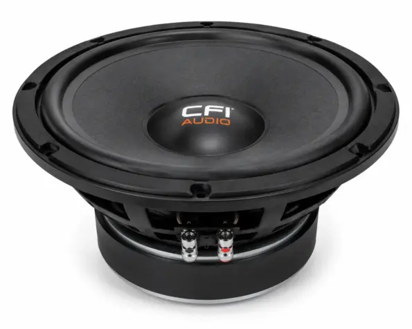 CFI18801 Naked Speaker price