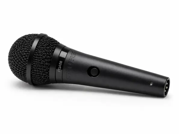Shure PGA58 live performance mic