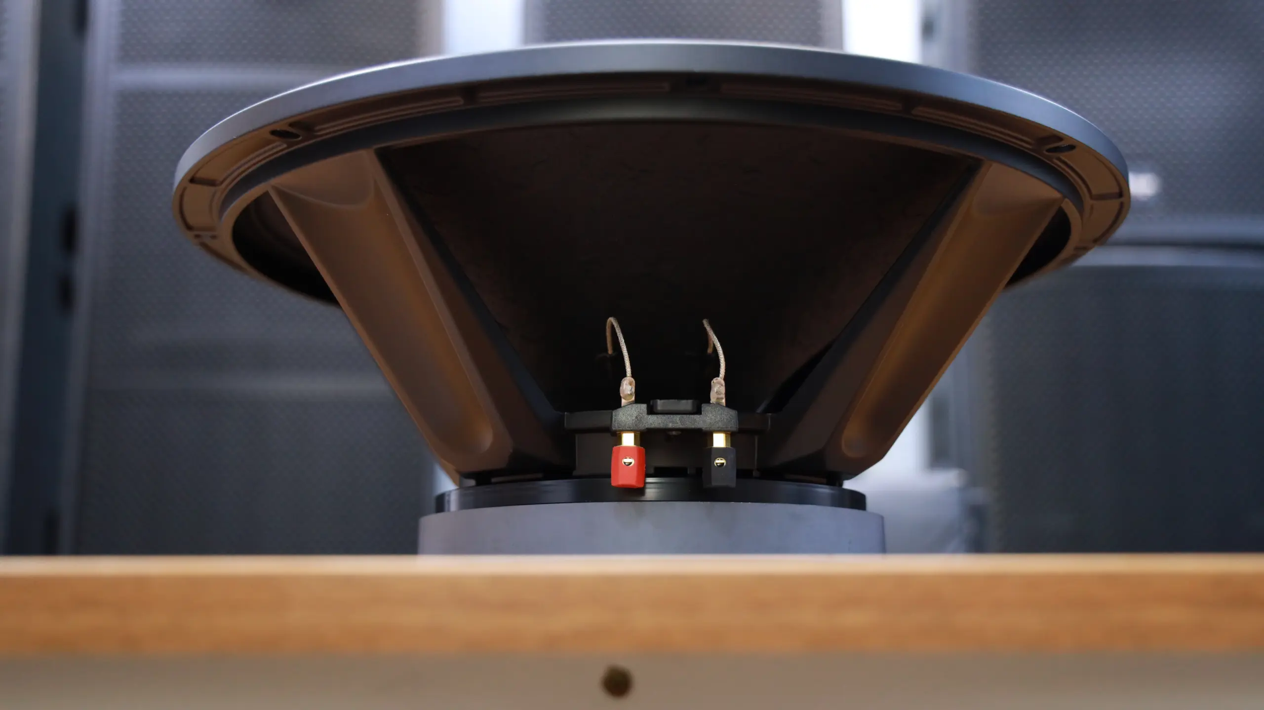 Why the Derwel 12DL202 12-Inch Speaker Driver Is a Smart Upgrade for Your Sound System Derwel 12DL202 12 Inch Speaker Driver
