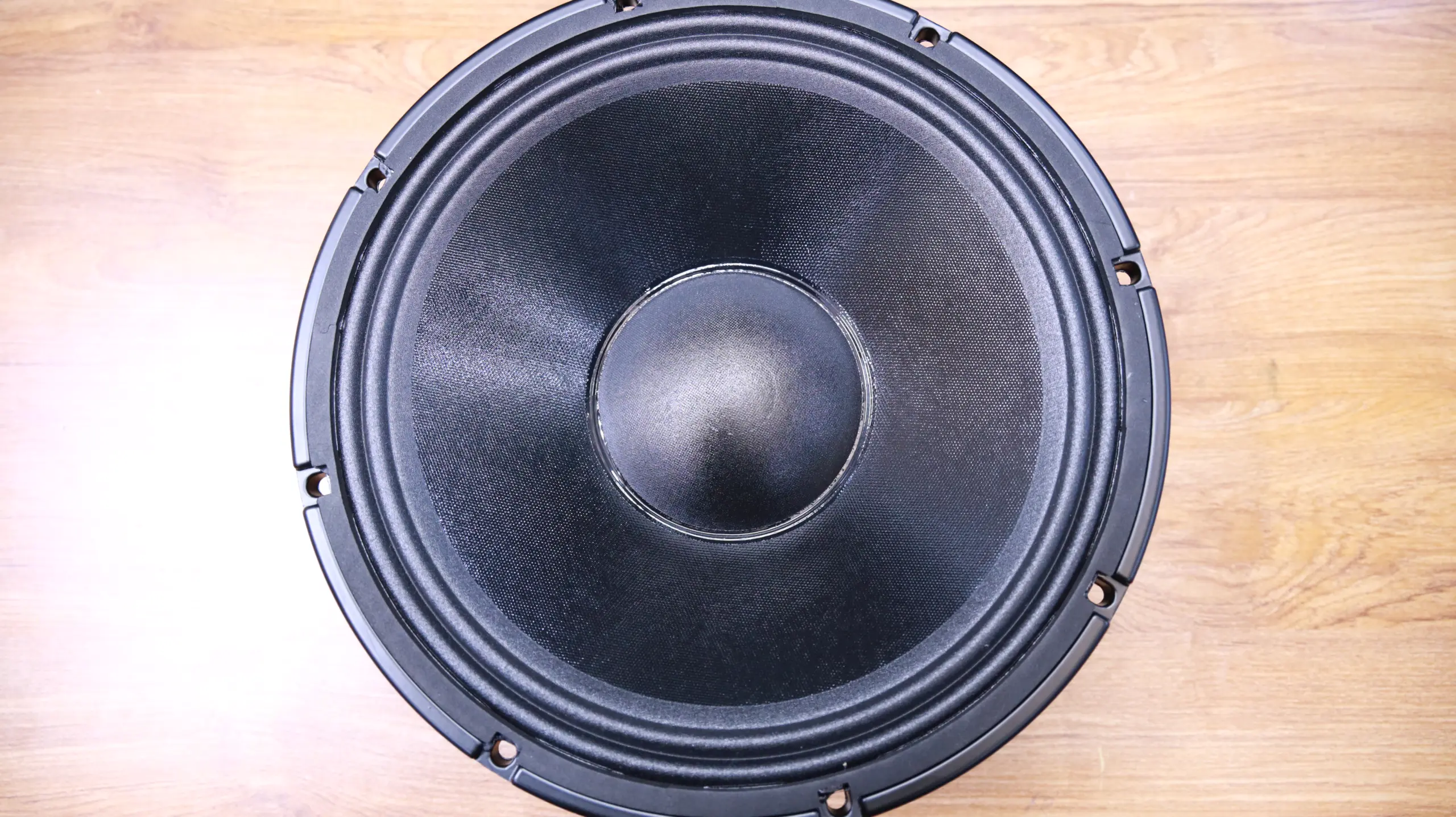 Derwel Precision 12WK301 12-Inch Naked Speaker Price In Kenya 12 inch low frequency transducer Kenya