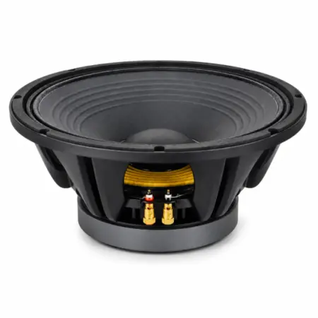 Audiocom Kenya Home 15 inch naked speaker