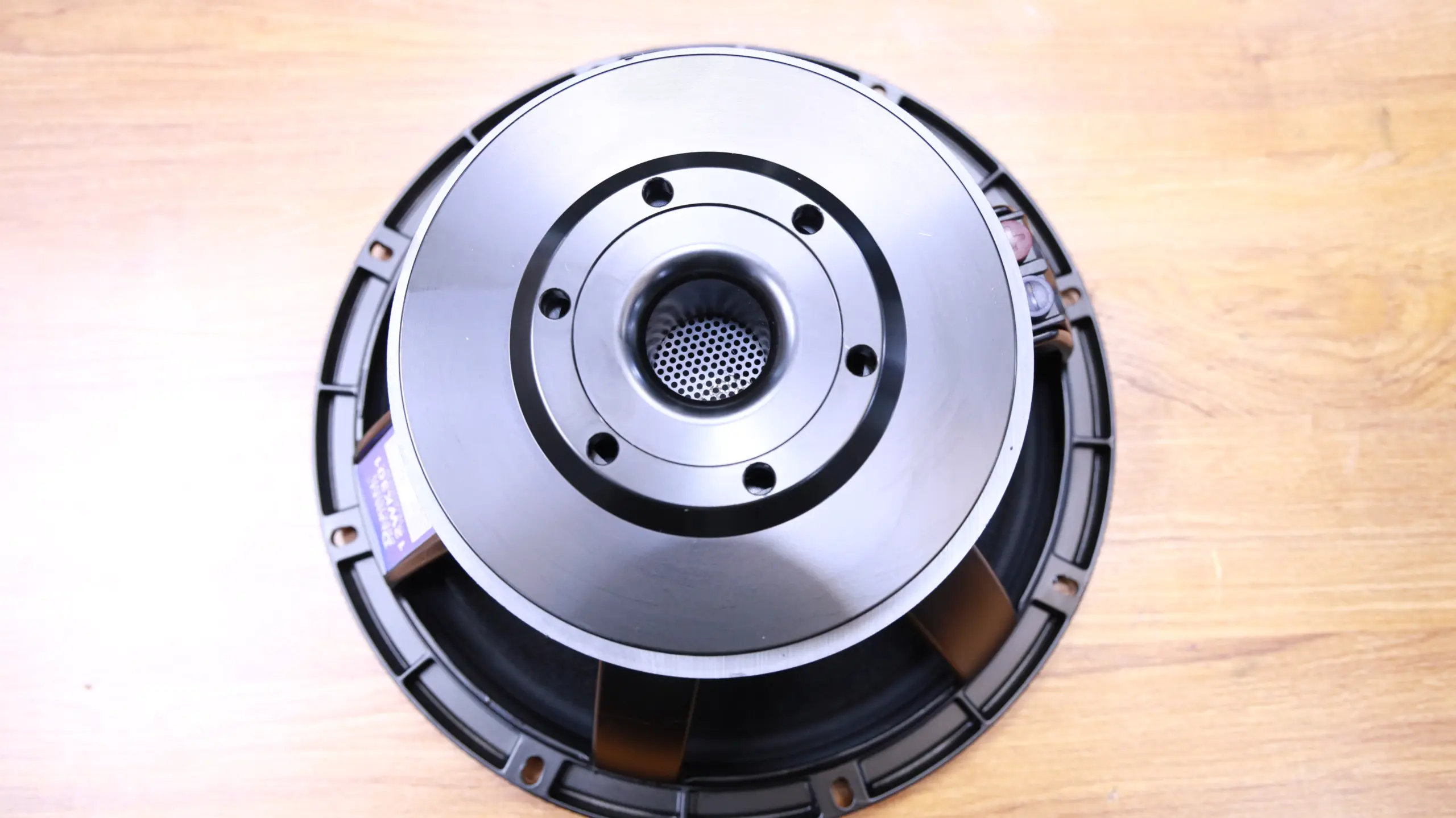 Derwel Precision 12WK301 12-Inch Naked Speaker Price In Kenya 600W speaker driver Kenya