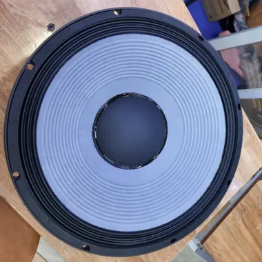 Thunder Sound TS 112 Speaker – Reliable 12-Inch PA Speaker for Churches, DJs, Events and Live Sound