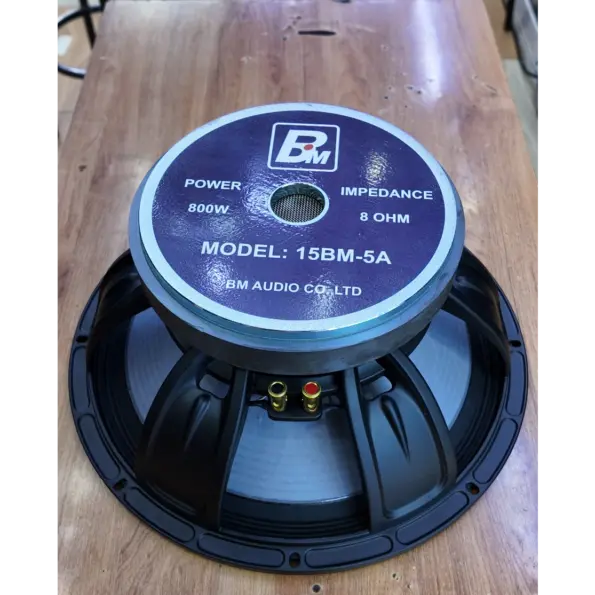 The BM Audio 15BM-5A 15-Inch