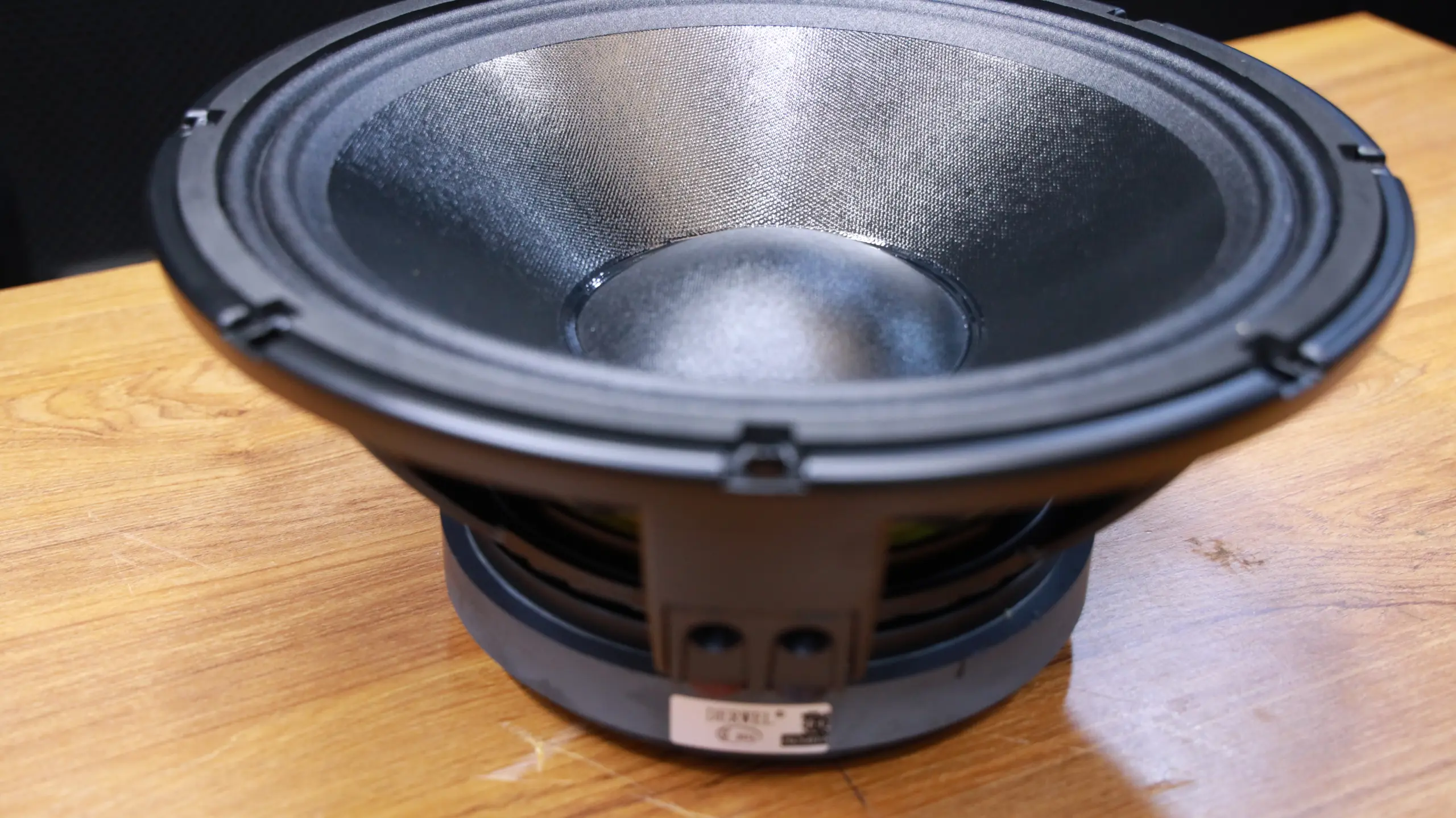 Derwel Precision 12WK301 12-Inch Naked Speaker Price In Kenya Buy Derwel 12WK301 in Kenya