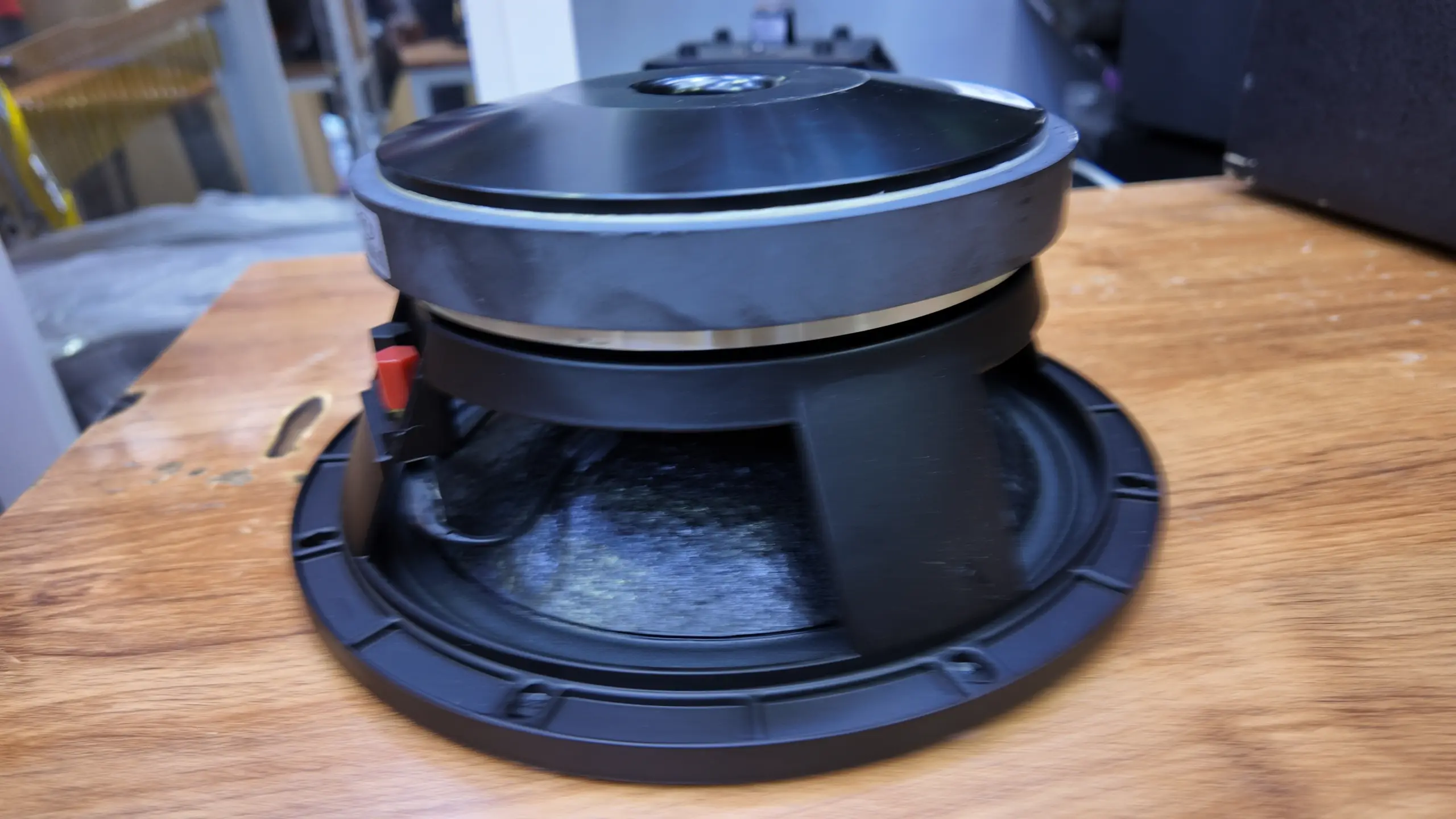 Derwel 10 inch loudspeaker Derwel 10 inch loudspeaker