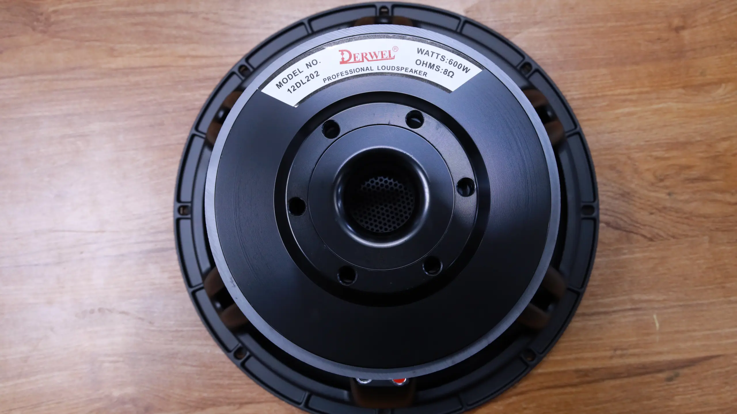 Why the Derwel 12DL202 12-Inch Speaker Driver Is a Smart Upgrade for Your Sound System Derwel 12 Inch Speaker