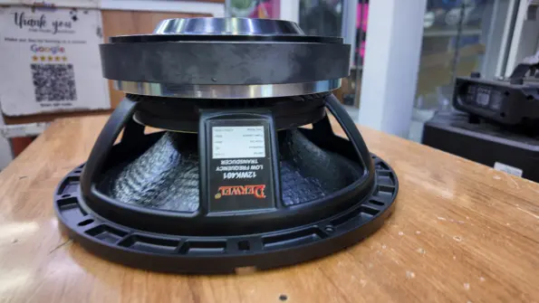 Derwel 12WK401 12-Inch Woofer