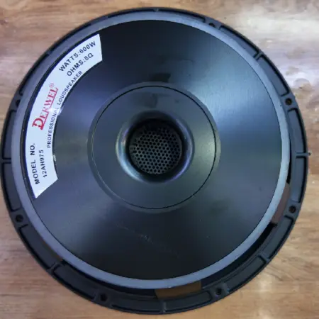 Derwel 12AH975 12-Inch Professional