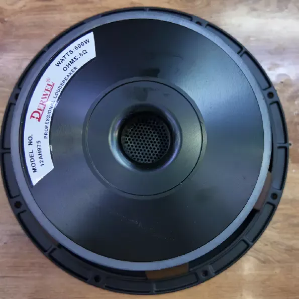 Derwel 12AH975 12-Inch Professional