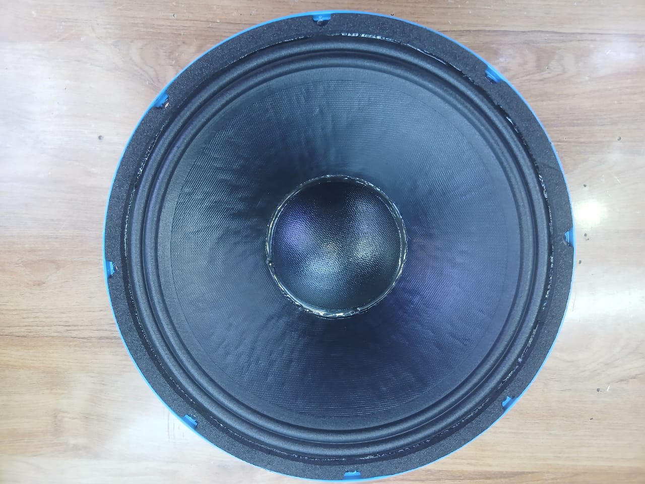 Derwel 12DE600 Professional Naked Speaker for Powerful PA Sound Derwel 12DE600 professional speaker driver