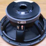Derwel 12DL202 12-Inch Professional Loudspeaker Derwel 12DL202