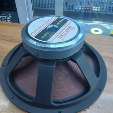 Derwel 15DE1200 Naked Speaker: A Powerful 15-Inch Driver for Professional PA Systems