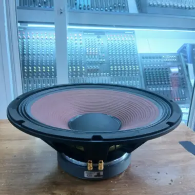 Derwel 15DE1200 Naked Speaker: A Powerful 15-Inch Driver for Professional PA Systems