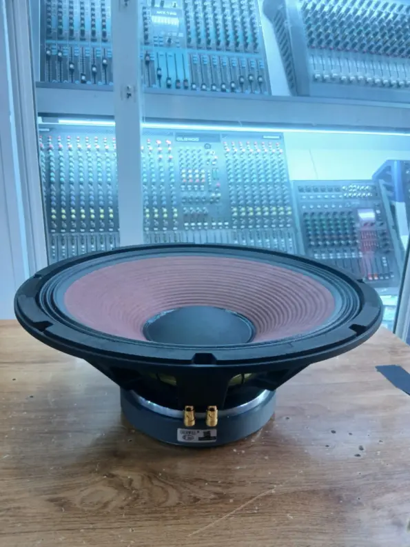 Derwel 15AH153 Professional Loudspeaker