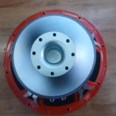 Derwel 15DX100F Professional Loudspeaker: Powerful Sound Solution for Events in Kenya