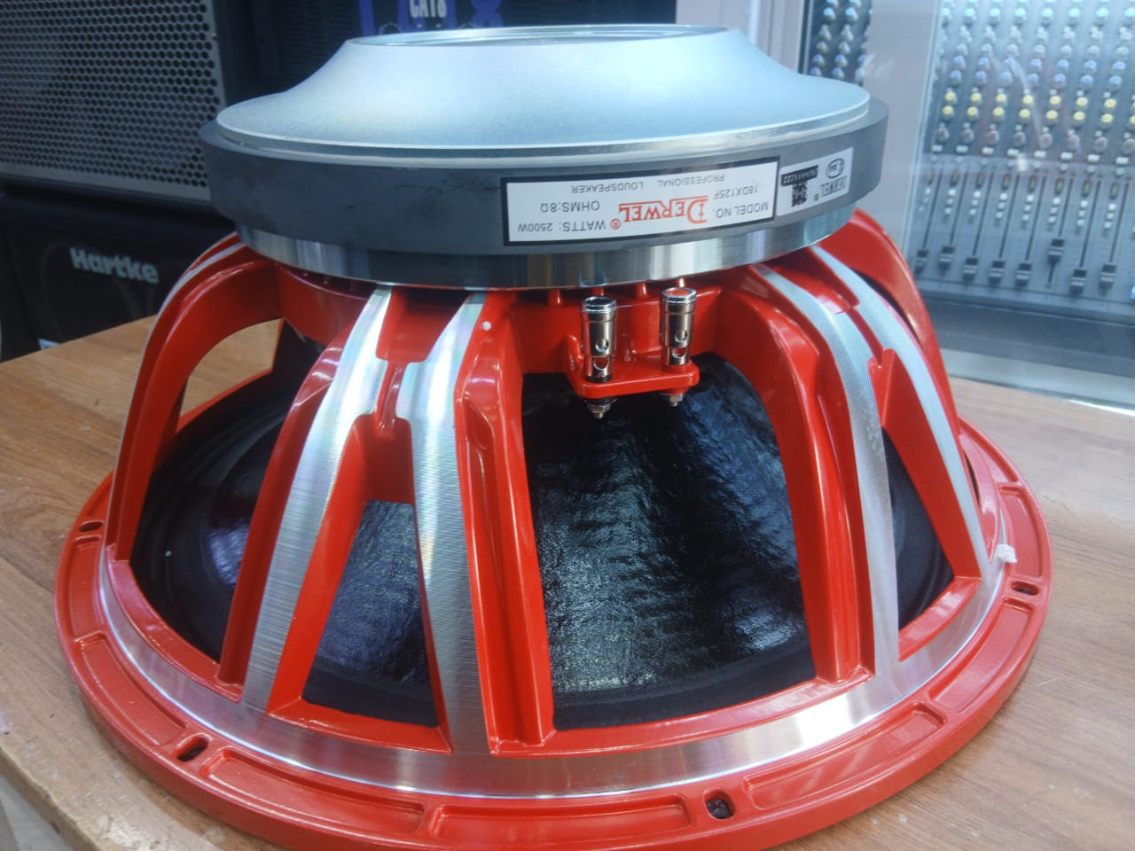 Derwel 18DX125F professional naked speaker