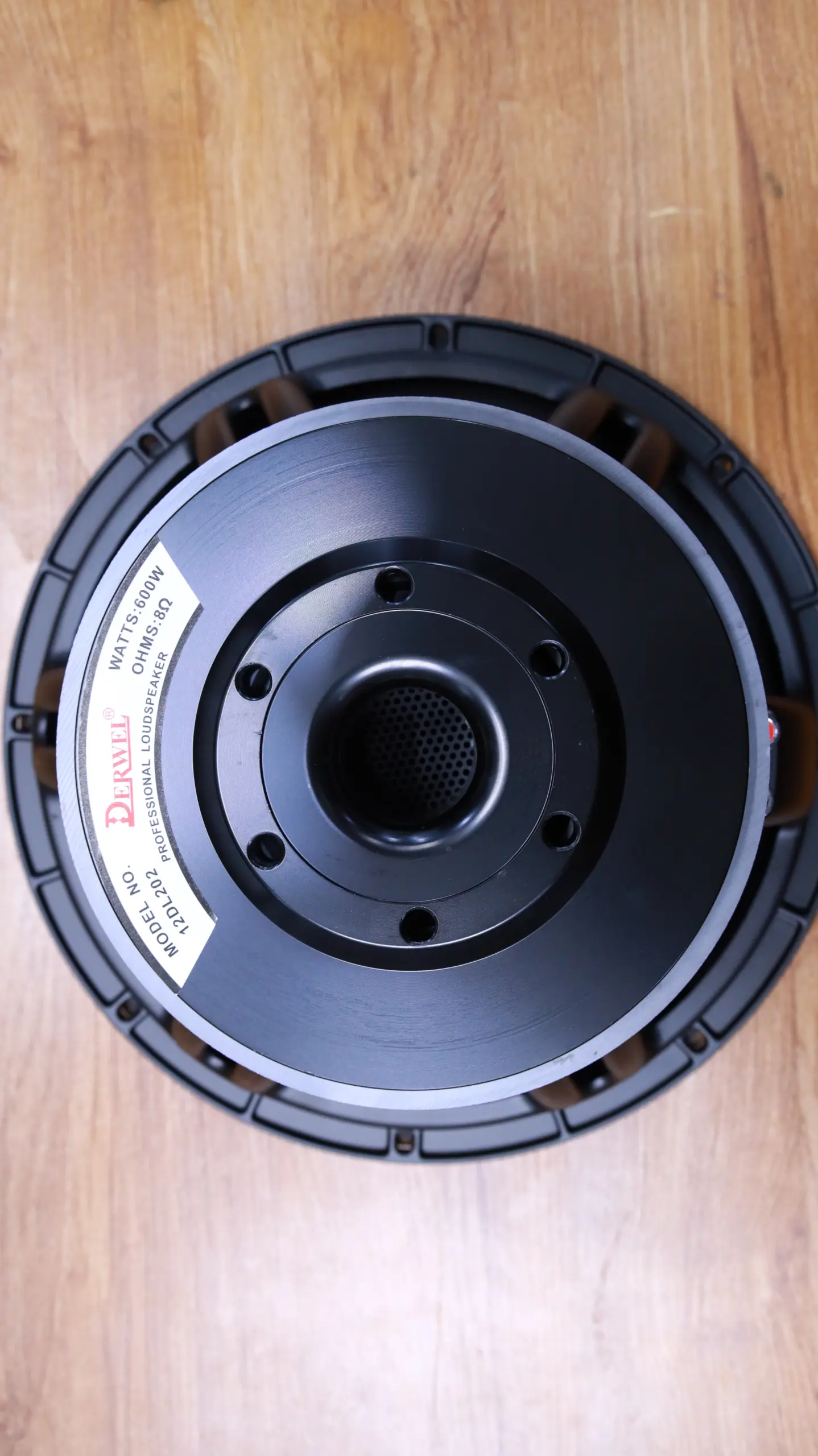 Why the Derwel 12DL202 12-Inch Speaker Driver Is a Smart Upgrade for Your Sound System Derwel 12DL202 8 Ohms Speaker