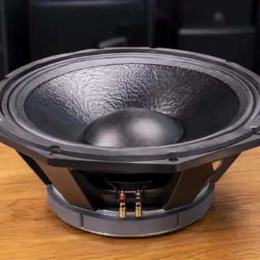 Derwel PD2190 21-Inch Bass Speaker – Powerful 4000W Bass Driver for Subwoofer Cabinets, Clubs and Outdoor Events