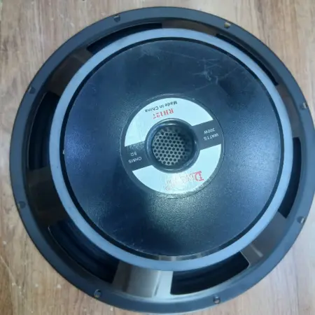 Derwel RH127 12-Inch Naked Speaker