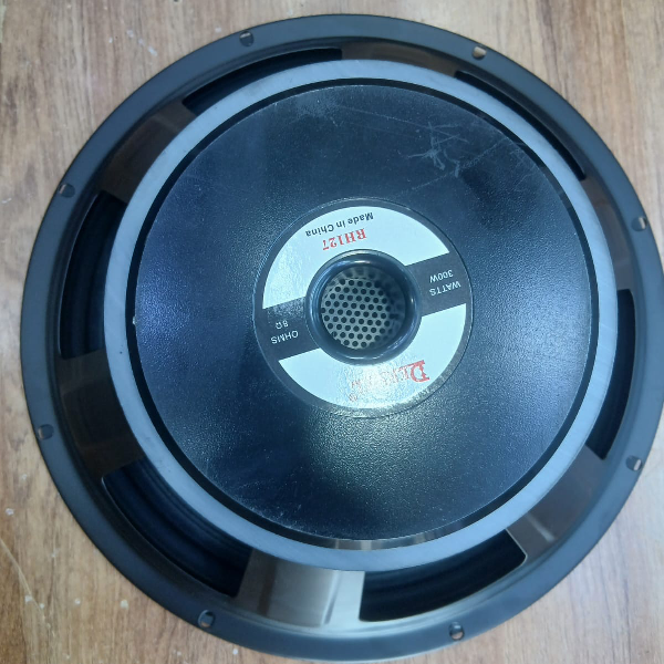Derwel RH127 12-Inch Naked Speaker Derwel RH127 12-Inch Naked Speaker