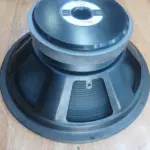 Derwel RH127 12-Inch Naked Speaker