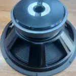 Derwel RH127 12-Inch Naked Speaker