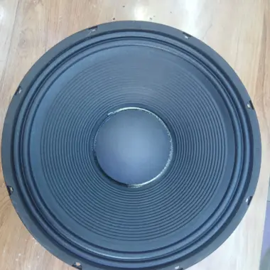 Derwel 15DE1200 Naked Speaker: A Powerful 15-Inch Driver for Professional PA Systems