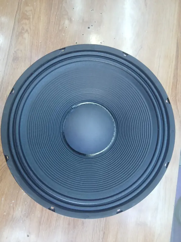 Why The Derwel RH127 12-Inch Naked Speaker