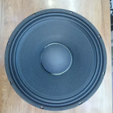 Derwel 15DE1200 Naked Speaker: A Powerful 15-Inch Driver for Professional PA Systems