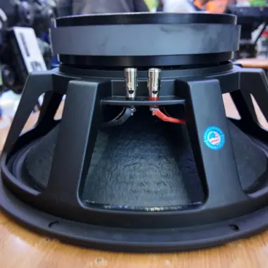 Why the BM Audio 15BM-5A 15-Inch Professional Woofer is an Excellent Choice for Speaker Upgrades