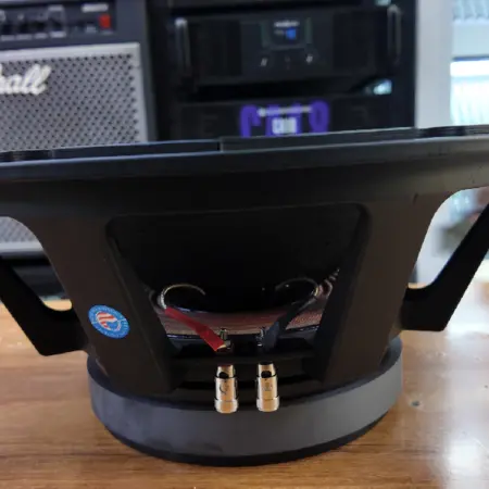 Eminence 15 Inch Speaker