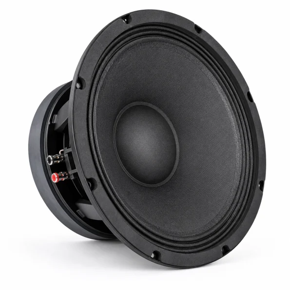 NR 10WF335 Naked Speaker