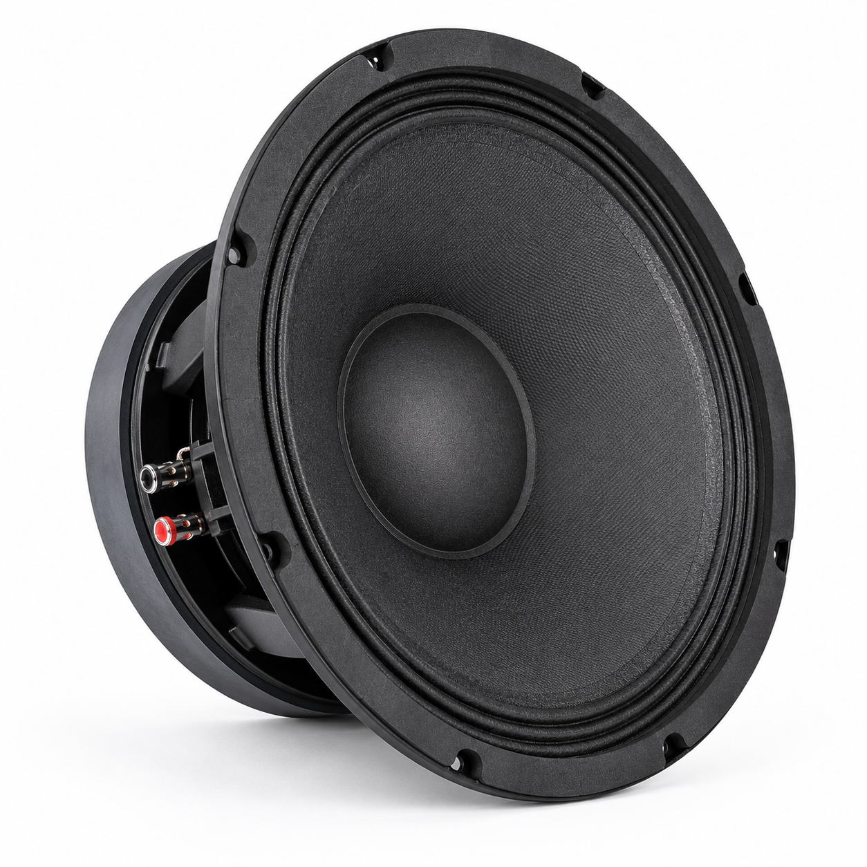 NR 10WF335 Naked Speaker Guide for Compact Professional Sound Systems NR 10WF335 Naked Speaker for custom cabinet