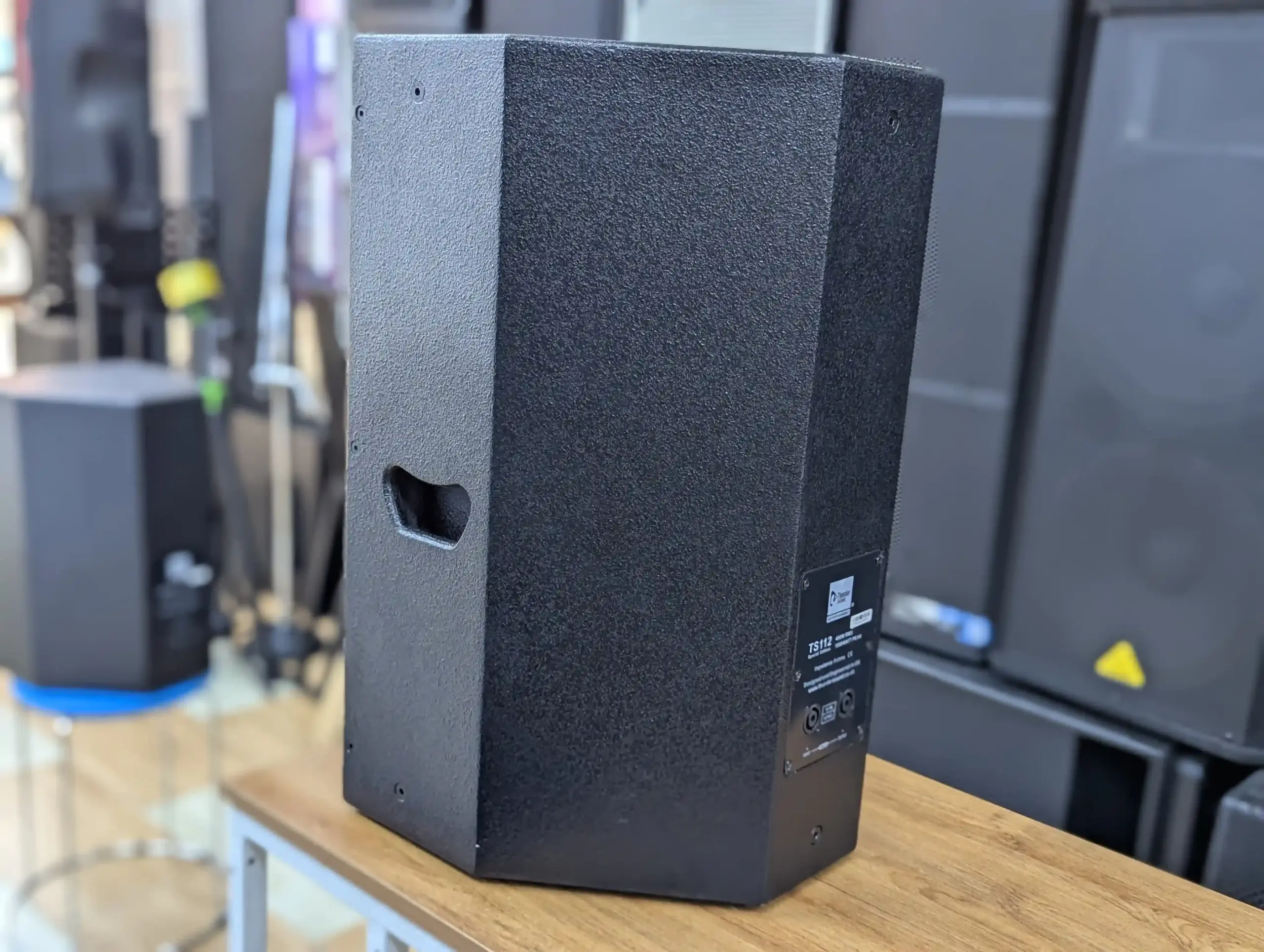 Thunder Sound TS 112 Speaker – Powerful 12-Inch PA Speaker for Churches, DJs and Live Events Thunder Sound TS 112 church speaker
